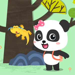 91视频网页免费版
