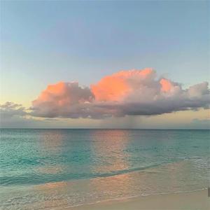 夜夜爽8888免费视频
