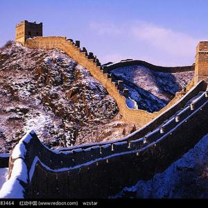 无码视频免费一区二三区
