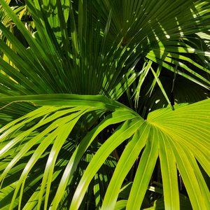 两根性器一前一后
