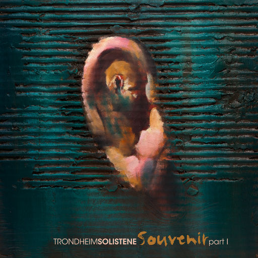 bdsm虐捆bdsmtv梱缚绑
