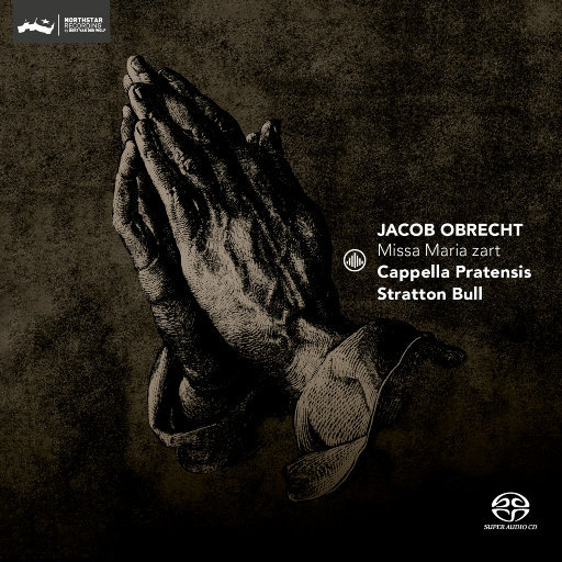 中国老富婆嫖鸭69XX
